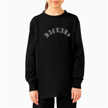 Dickies x Spitfire jr. T-shirt l/s Black
